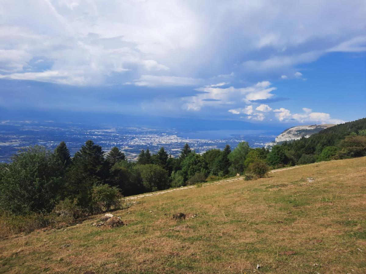 The Originals City, Hotel Rey Du Mont Sion, Saint-Julien-En-Genevois Sud Dış mekan fotoğraf